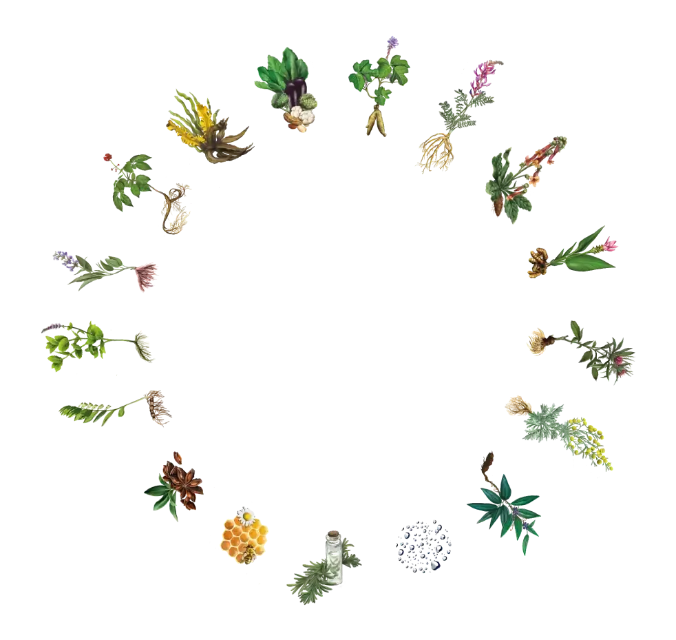 Botanical ingredients arranged as a circular visual around the DE-LIVER-ANCE product story