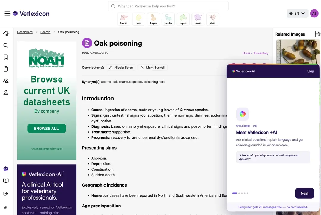 Vetlexicon clinical content page with the Vetlexicon plus AI onboarding panel