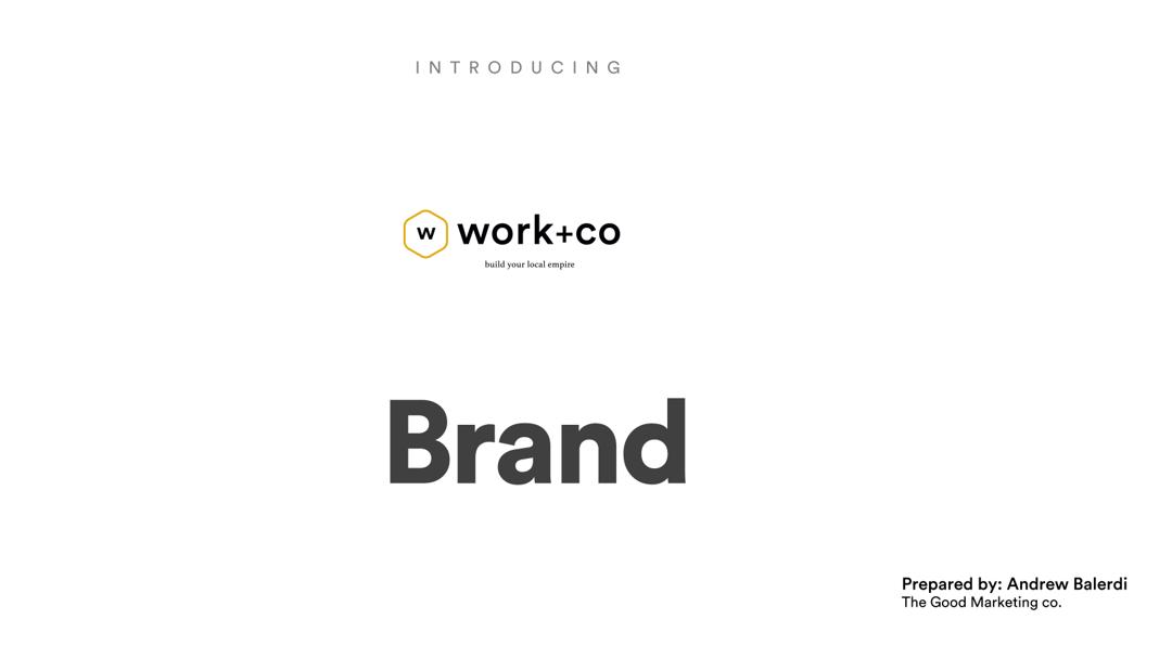 Brand guidelines cover — prepared by Andrew Balerdi